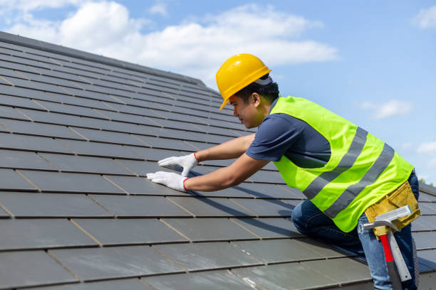 Best Roof Gutter Cleaning  in North River Shores, FL